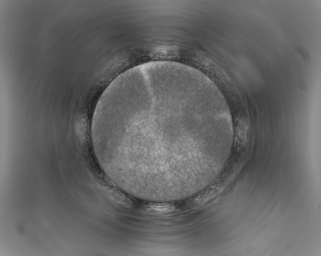 X0000110320659200907021203