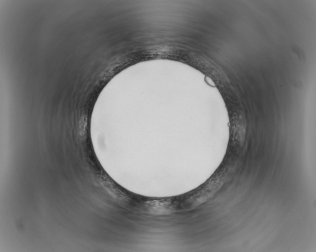 X0000110320660200907021203