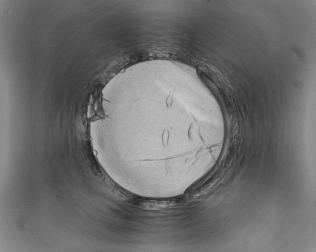 X0000110320661200907021203