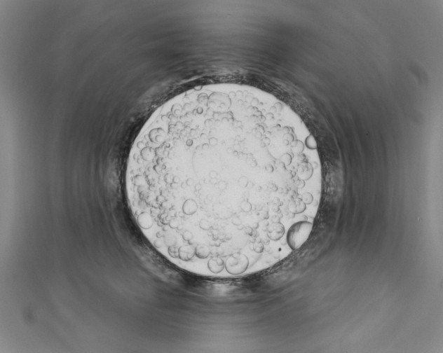 X0000110320662200907021203