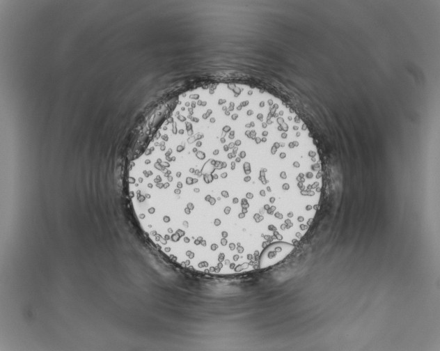 X0000110320664200907021203