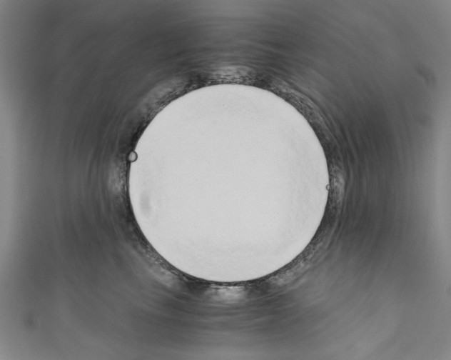 X0000110320665200907021203