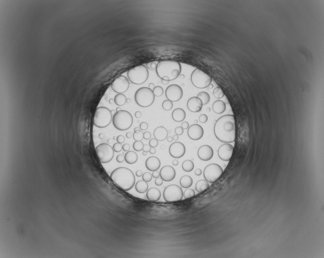 X0000110320666200907021203