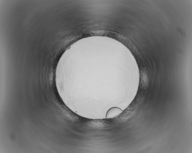 X0000110320668200907021203