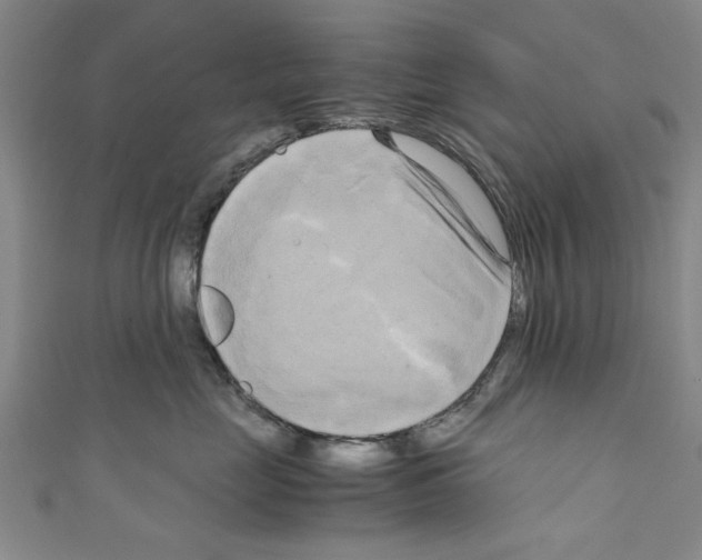 X0000110320669200907021203