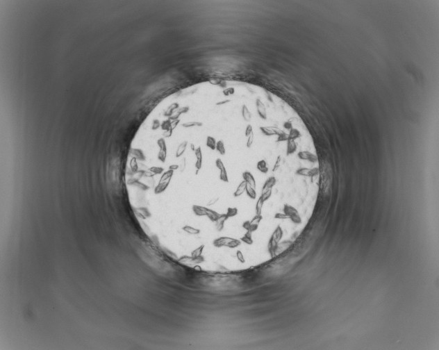 X0000110320670200907021203