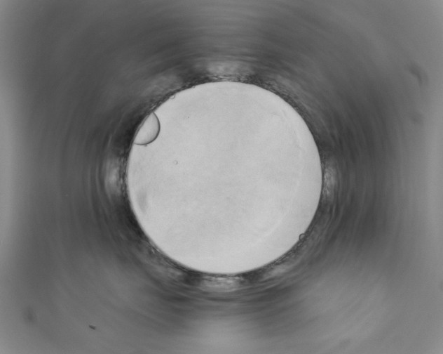 X0000110320671200907021203