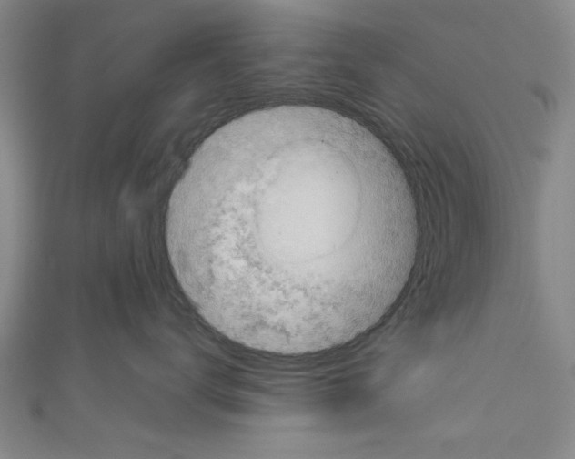 X0000110320672200907021203