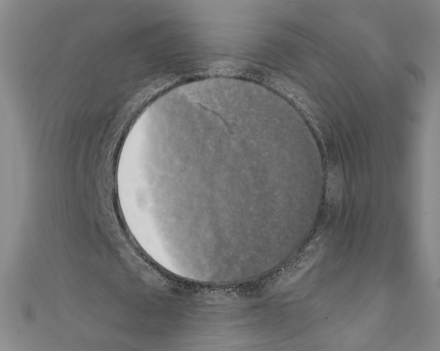 X0000110320673200907021202