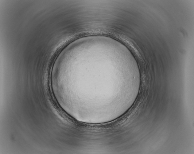 X0000110320677200907021202