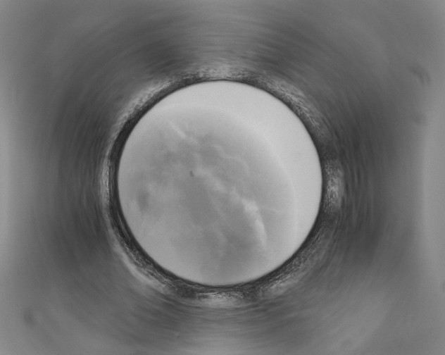 X0000110320678200907021202