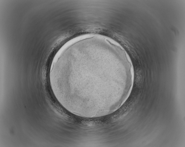 X0000110320679200907021202