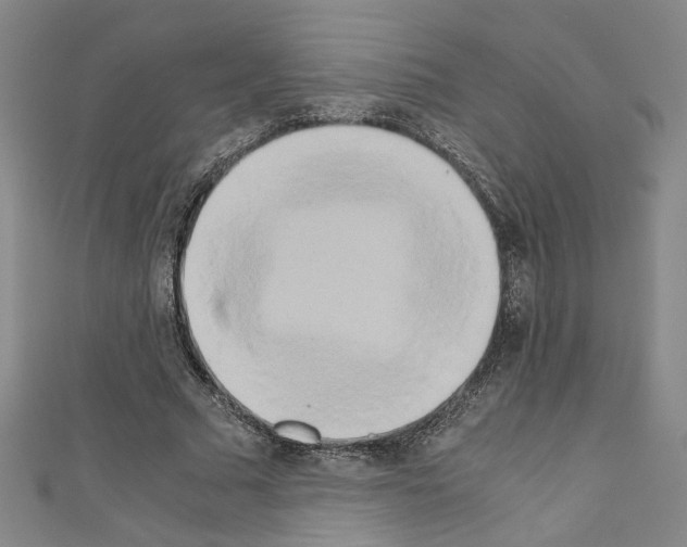 X0000110320681200907021202