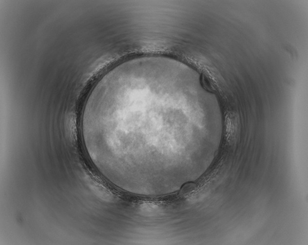 X0000110320684200907021202