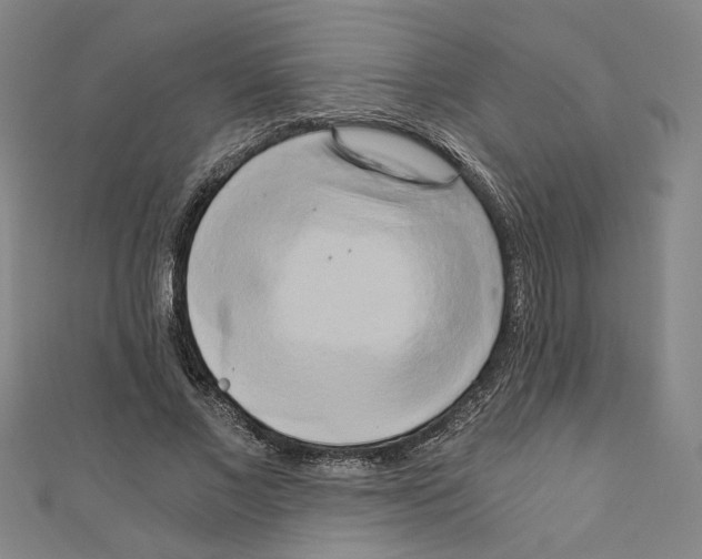 X0000110320685200907021202