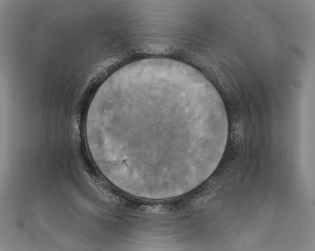 X0000110320688200907021202