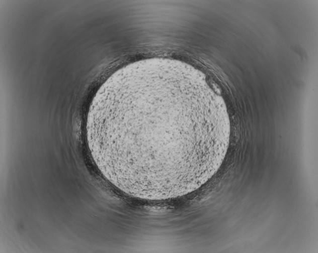 X0000110320693200907021202