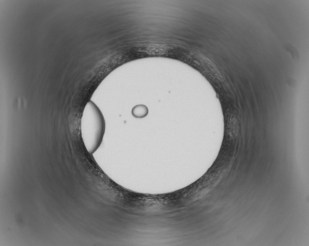 X0000110320697200907021202