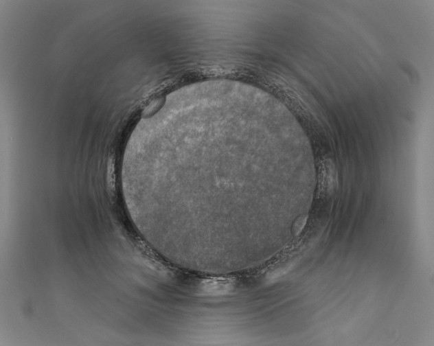 X0000110320700200907021202