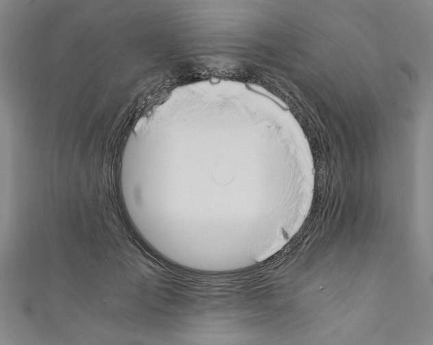 X0000110320701200907021202