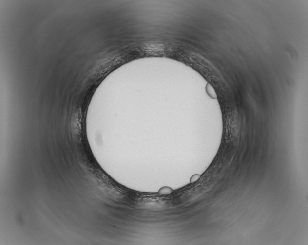 X0000110320702200907021202