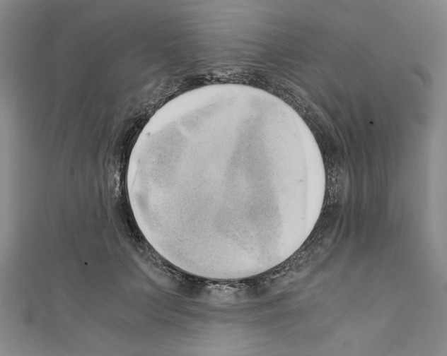 X0000110320703200907021202