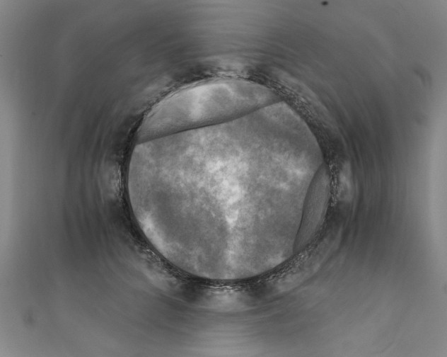 X0000110320704200907021202