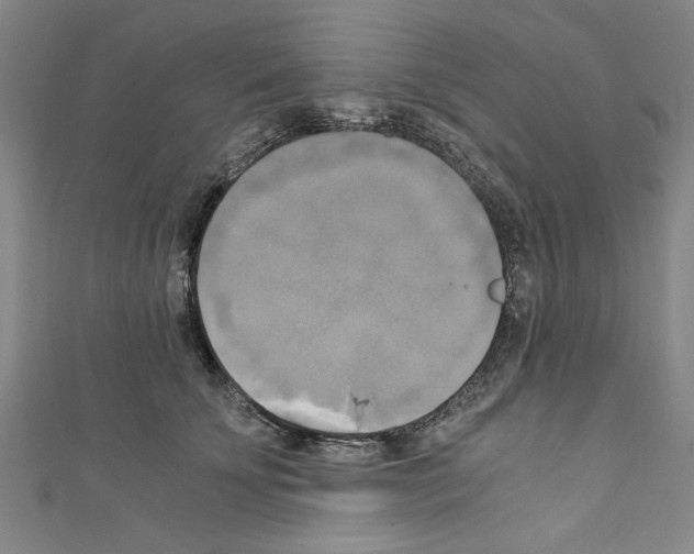 X0000110320707200907021202