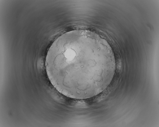 X0000110320715200907021202