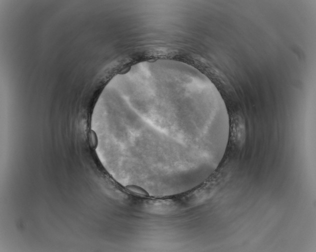 X0000110320716200907021202