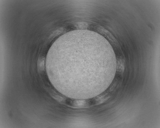 X0000110320717200907021202