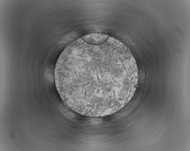 X0000110320719200907021202