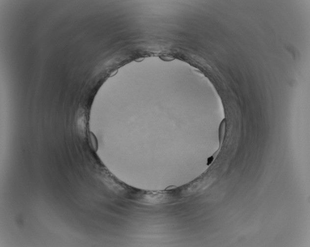 X0000110320720200907021202