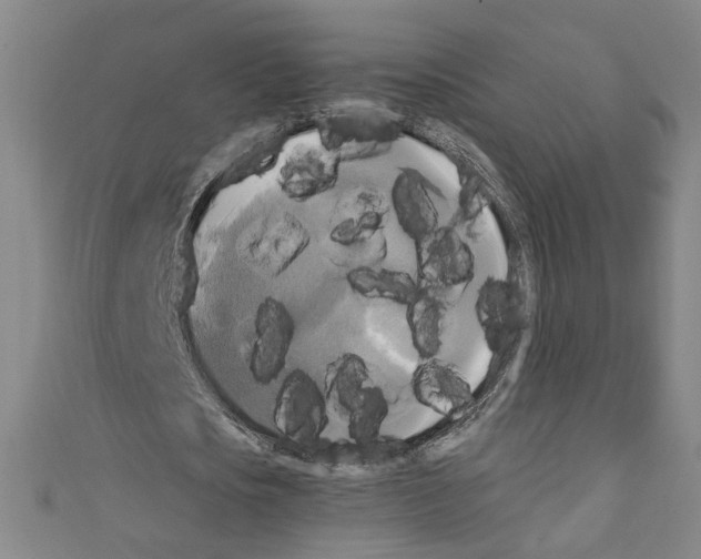 X0000110320721200907021201