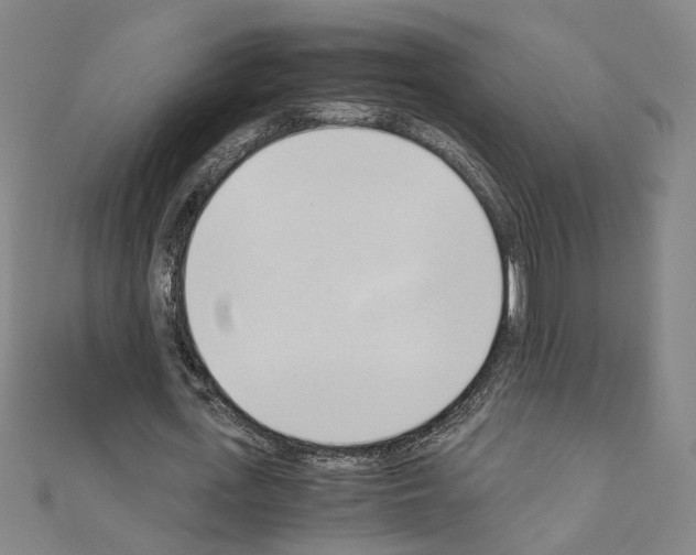 X0000110320723200907021201