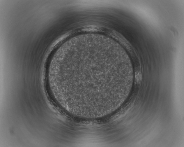 X0000110320724200907021201