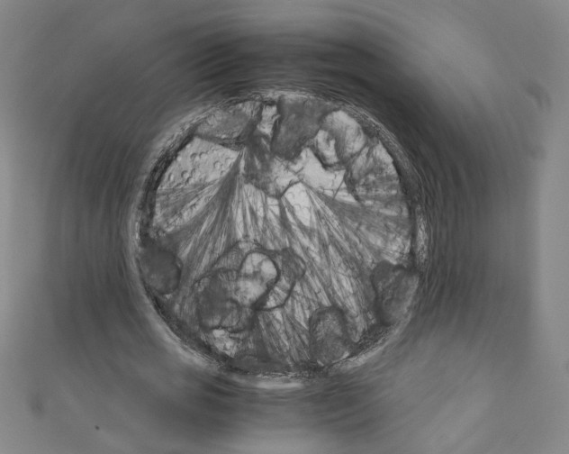 X0000110320725200907021201