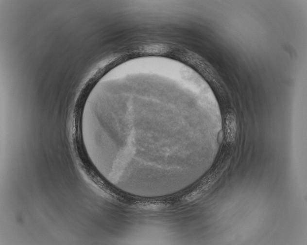 X0000110320726200907021201