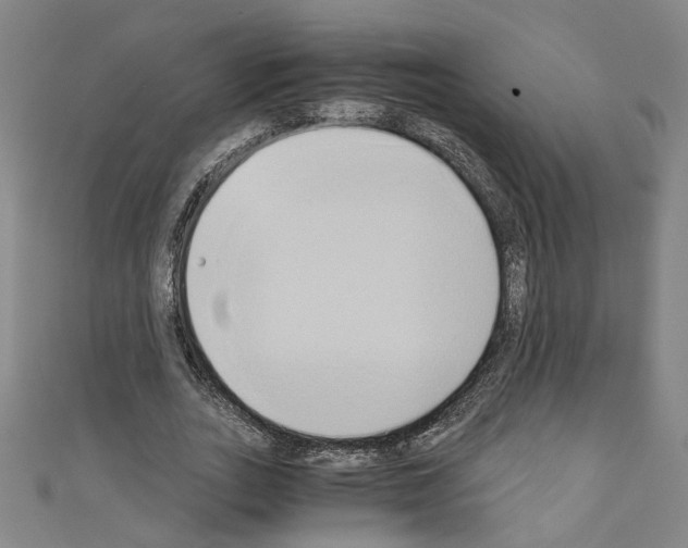 X0000110320727200907021201