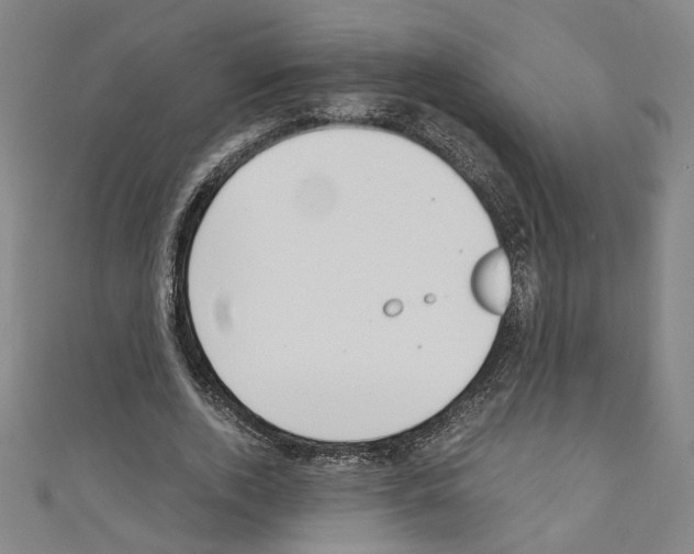 X0000110320728200907021201