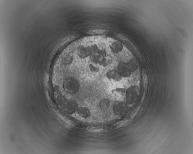 X0000110320729200907021201