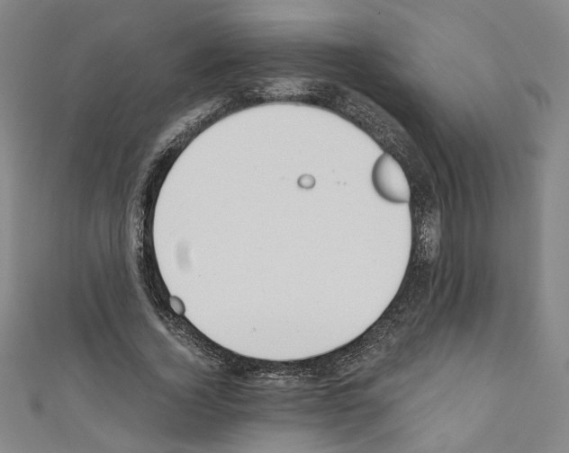 X0000110320732200907021201