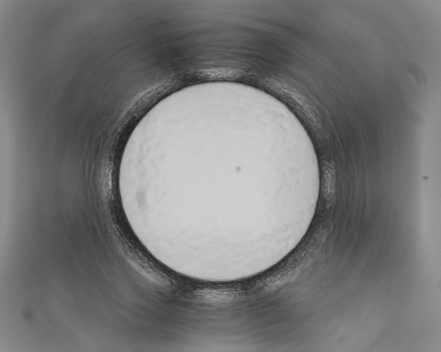 X0000110320733200907021201