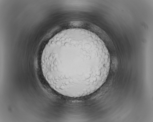 X0000110320734200907021201