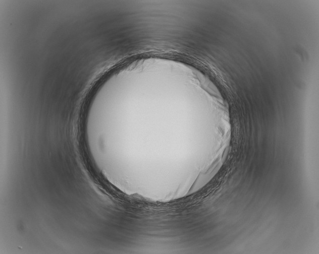 X0000110320736200907021201