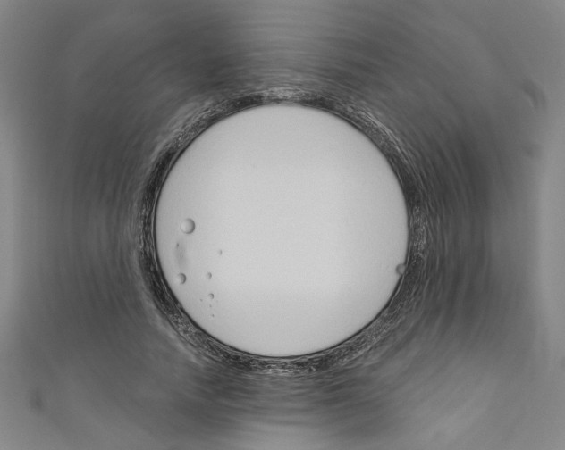 X0000110320738200907021201