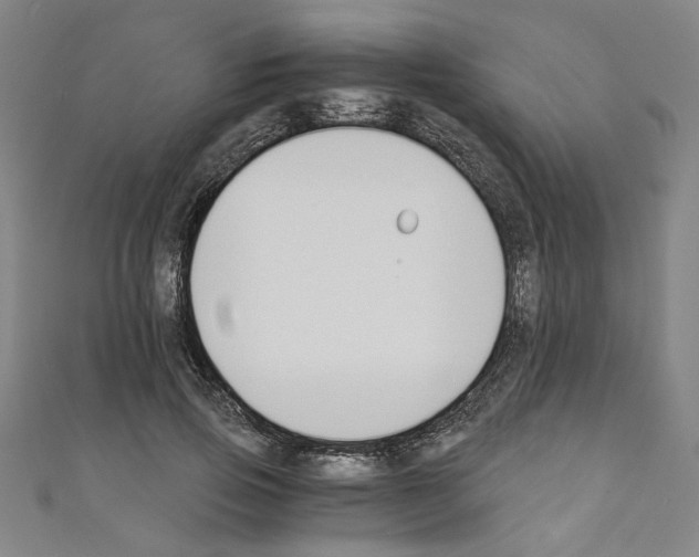 X0000110320741200907021201