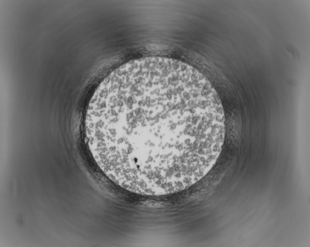 X0000110320742200907021201