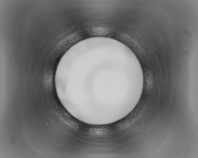 X0000110320745200907021201