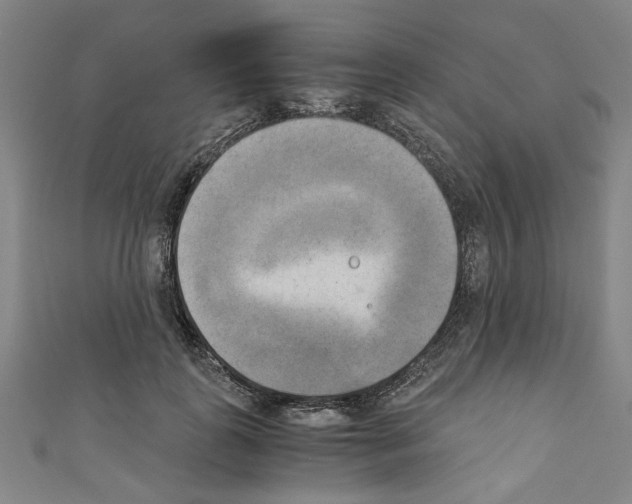 X0000110320747200907021201